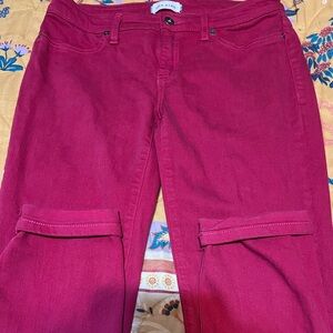 Vibrant Pink Pants